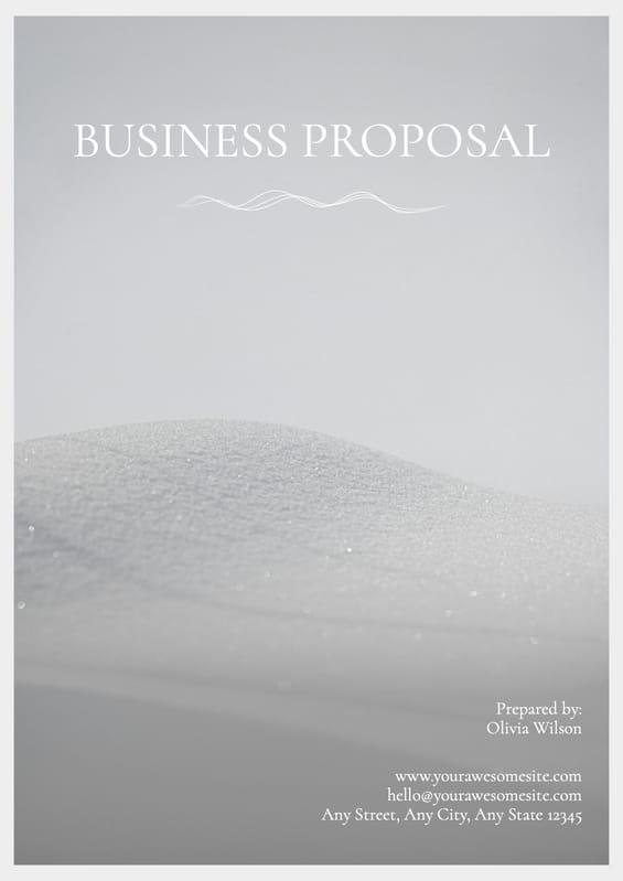 Gray Aesthetic Photo Minimal Business Proposal