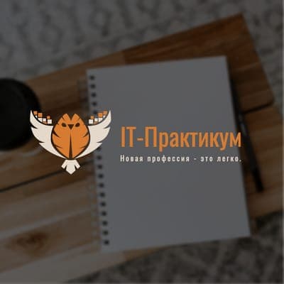 Онлайн-Практикум  Образование Иллюстрация Сова Логотип