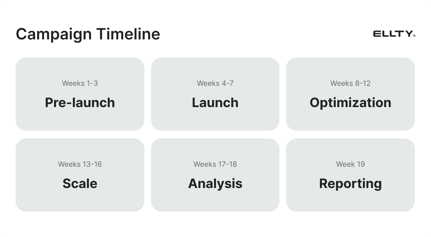 Timeline