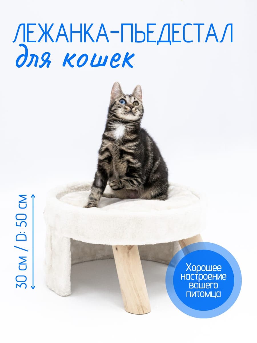 Товары для животных инфографика