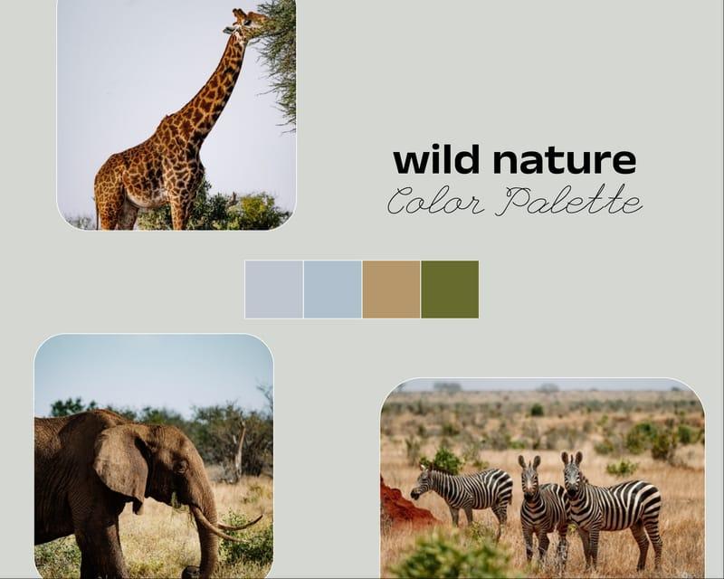 Wild Nature Color Palette Photo Collage