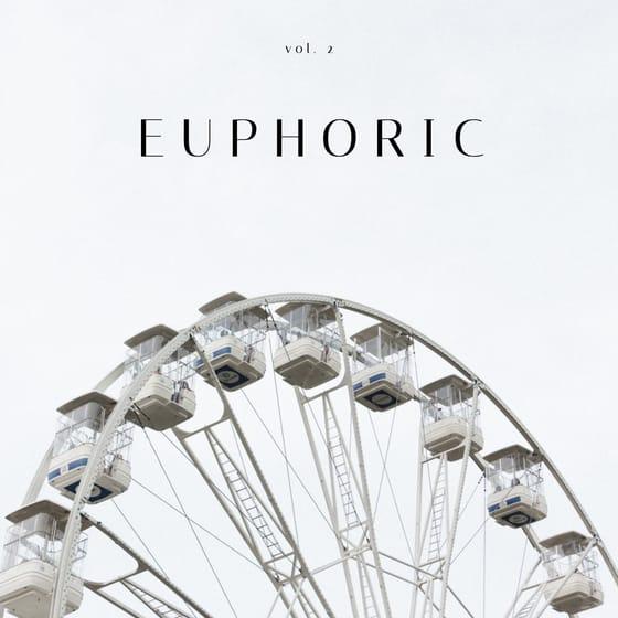 Grey Euphoric Minimalistic Album Cover