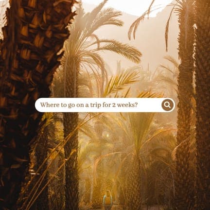 Brown Tropical Photo Search Instagram Post