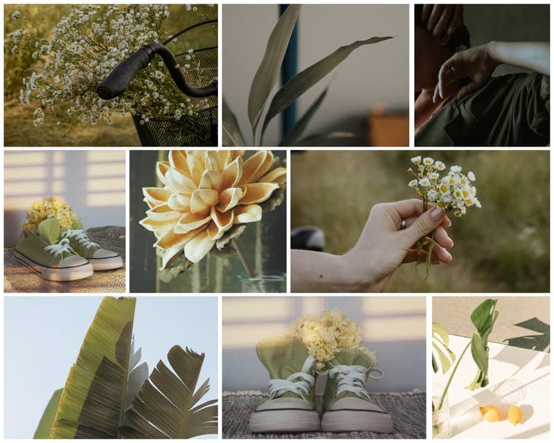 Green Story Aesthetic Photo Collage